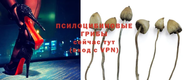 дмт Краснослободск