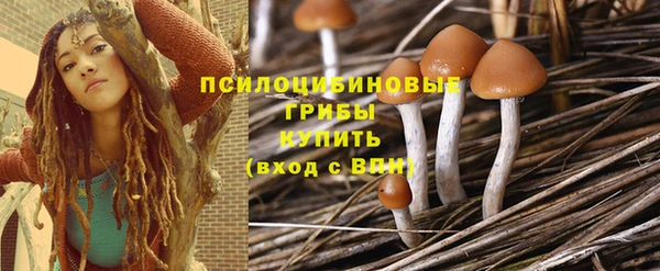 стафф Костерёво