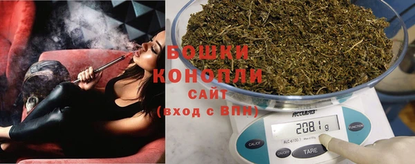дмт Краснослободск