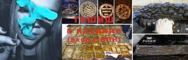 прущие грибы Корсаков