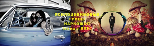 дмт Краснослободск