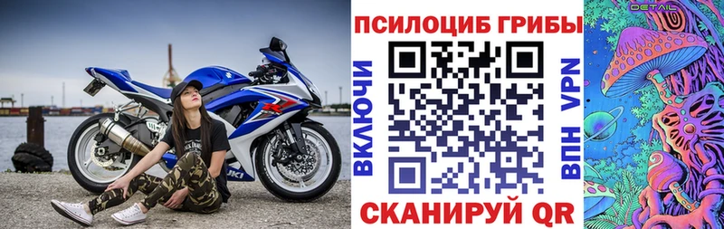 где найти Тихорецк Галлюциногенные грибы прущие грибы