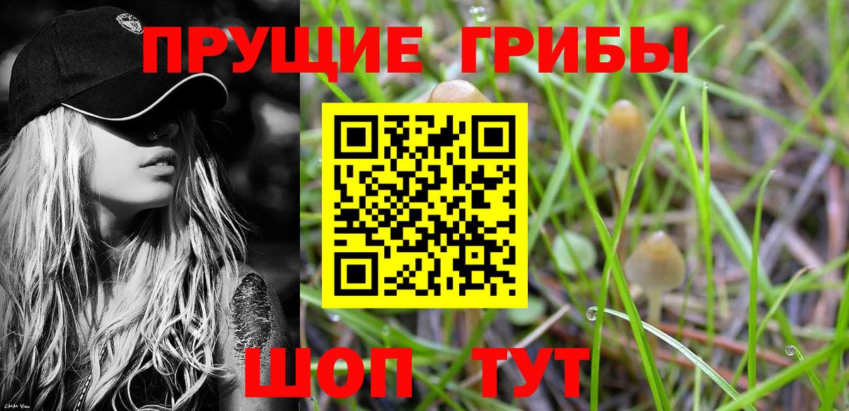 Галлюциногенные грибы прущие грибы Тихорецк